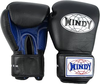 WINDY ボクシンググローブ 14 oz BGVH 黒 Amazon.co.jp: Windyタイスタイルトレーニンググローブ : スポーツ